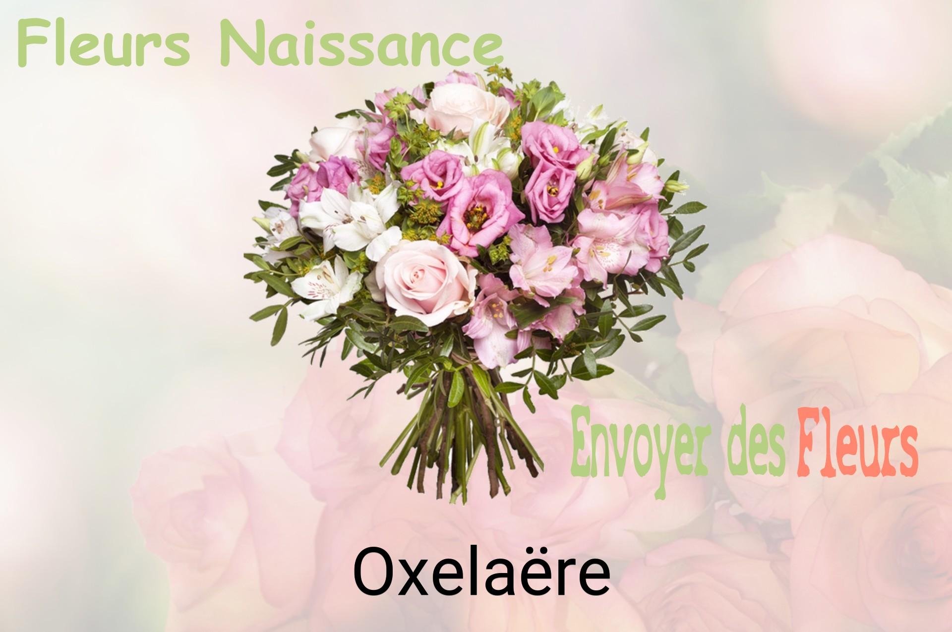 Bouquet de fleurs de naissance livré à Oxelaëre